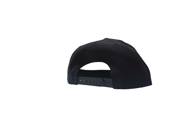 Earl's Snap Back Hat - Boxing Equipment Back View