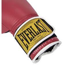 Everlast 1910 Training Gloves - Premium Leather, Boxing Gear Velcro View