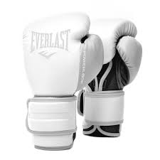 Everlast Powerlock 2 Hook & Loop Boxing Gloves - Impact-absorbing training gloves with full-grain leather. White