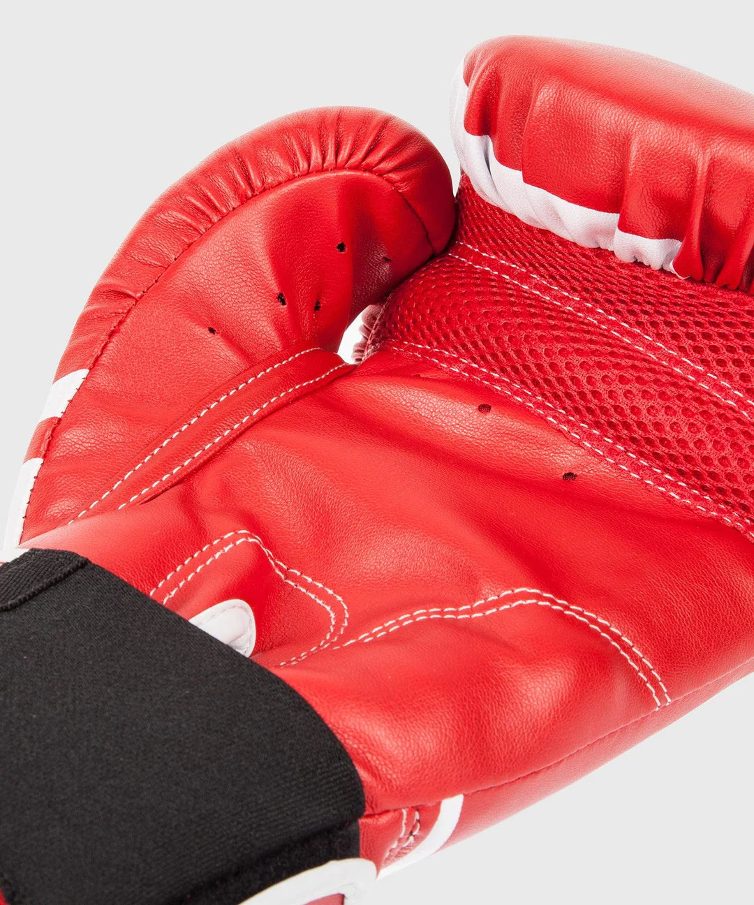 Challenger 2.0 Boxing Gloves