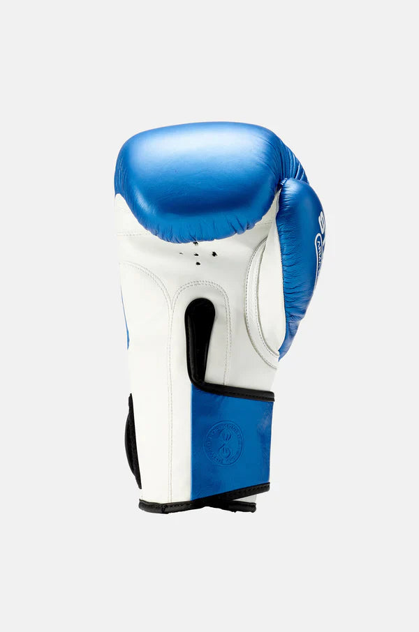 Armapro Boxing Glove