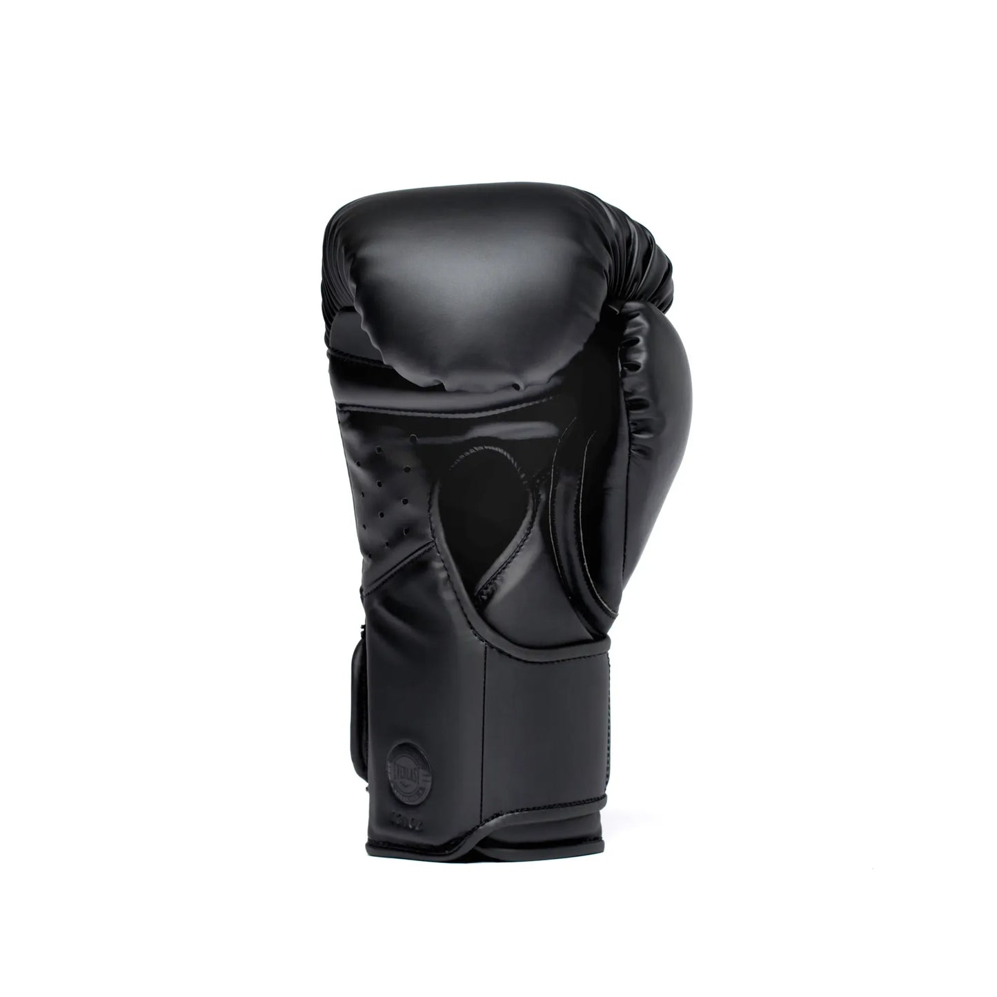 Everlast Elite 2 Pro Boxing Gloves - Hook & Loop