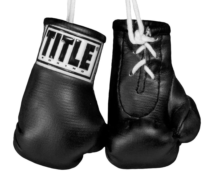 TITLE Boxing 3.5” Mini Boxing Gloves
