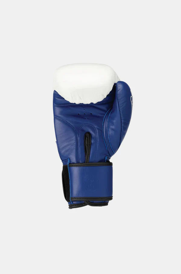 Orion Boxing Glove - Earl's Fight Shop