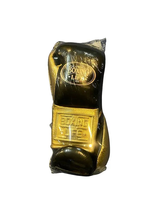 No Boxing No Life 10oz Boxing Gloves with Horse Hair Padding Sealed View