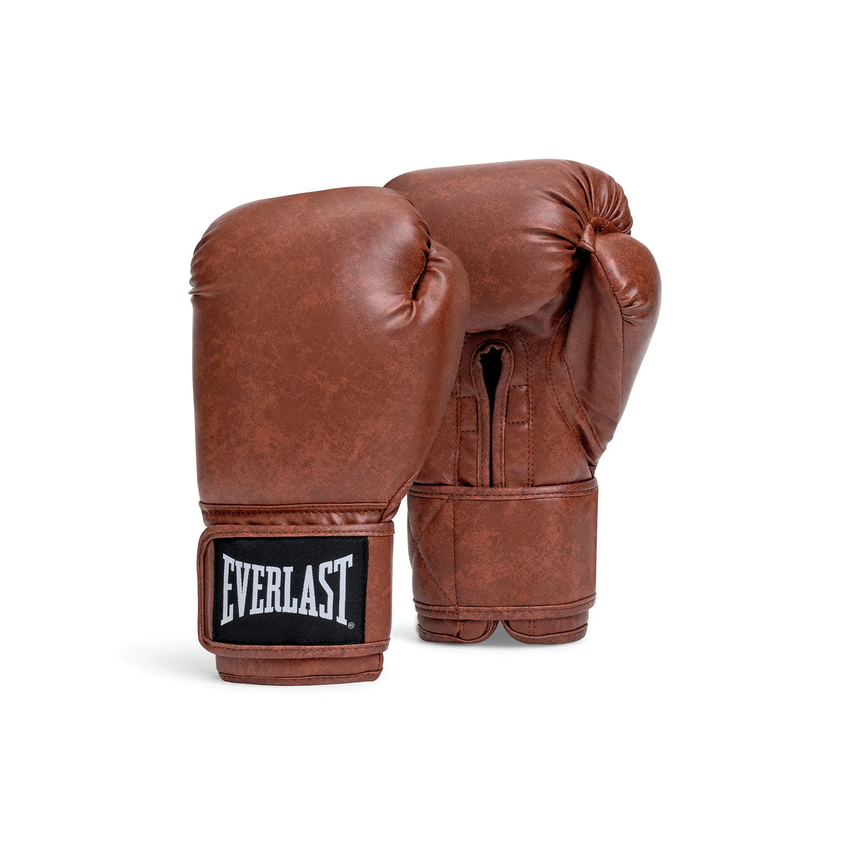 Everlast Classic Boxing Gloves
