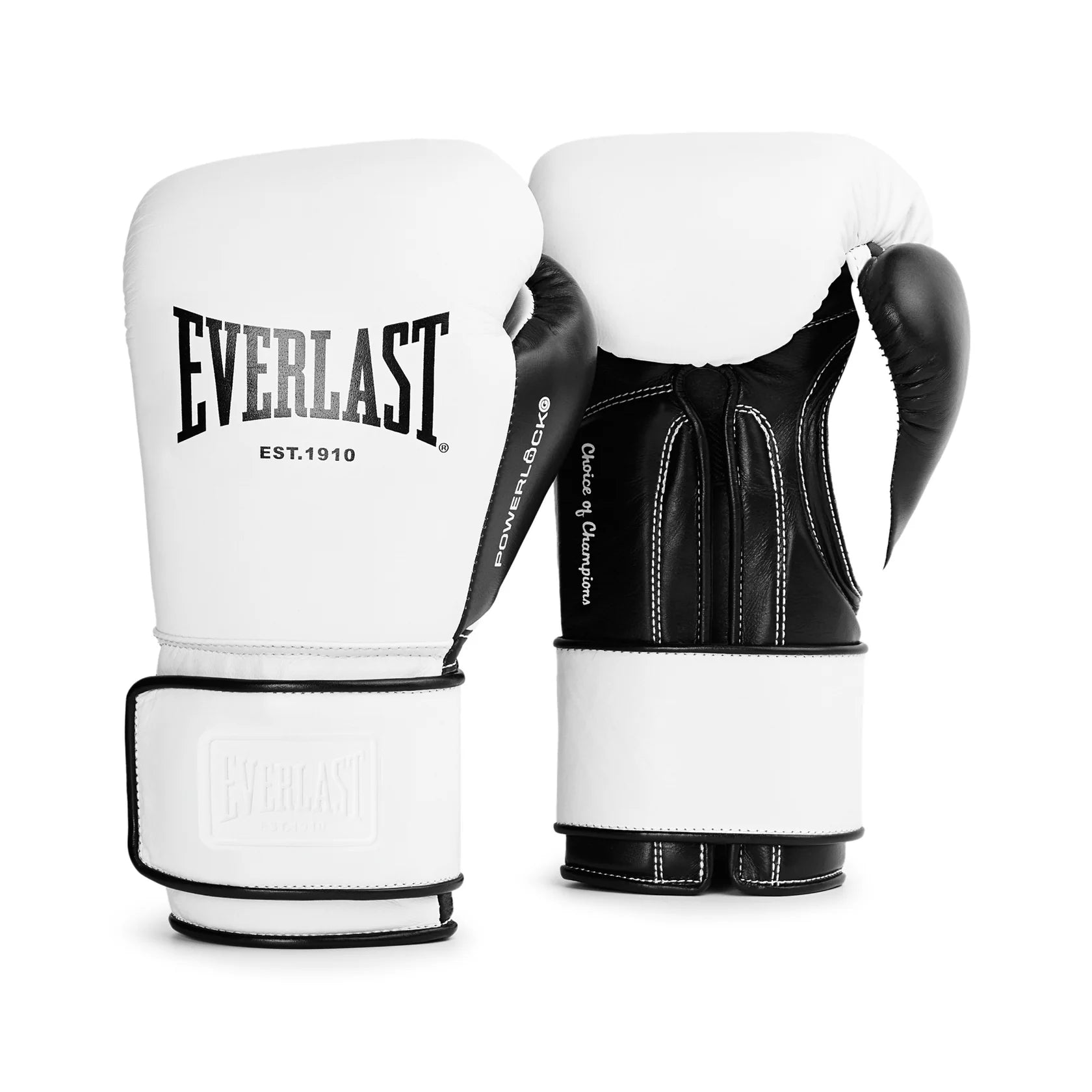 Everlast Powerlock OG Pro Boxing Gloves - Hook and Loop - Earl's Fight Shop