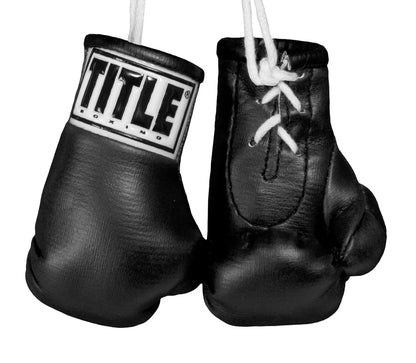 TITLE Boxing 3.5” Mini Boxing Gloves