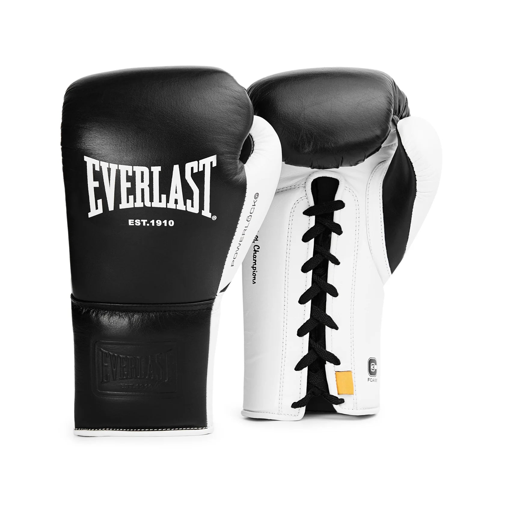 Everlast Powerlock OG Pro Boxing Gloves - Earl's Fight Shop